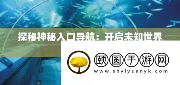 探秘神秘入口导航