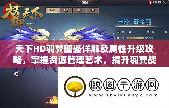 天下HD羽翼图鉴详解及属性升级攻略