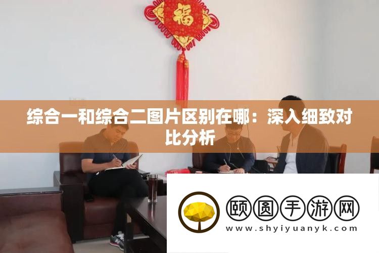 综合一和综合二图片区别在哪：深入细致对比分析