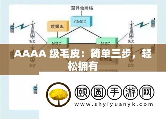 AAAA 级毛皮
